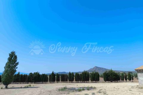 Landejendom i Caudete, Albacete, Caudete - € 95.000 | Ref: SF0539 - foto 10